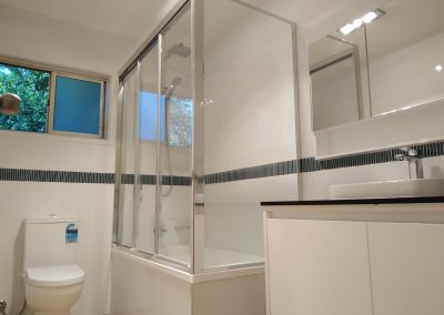 Bathroom & toilet renovation